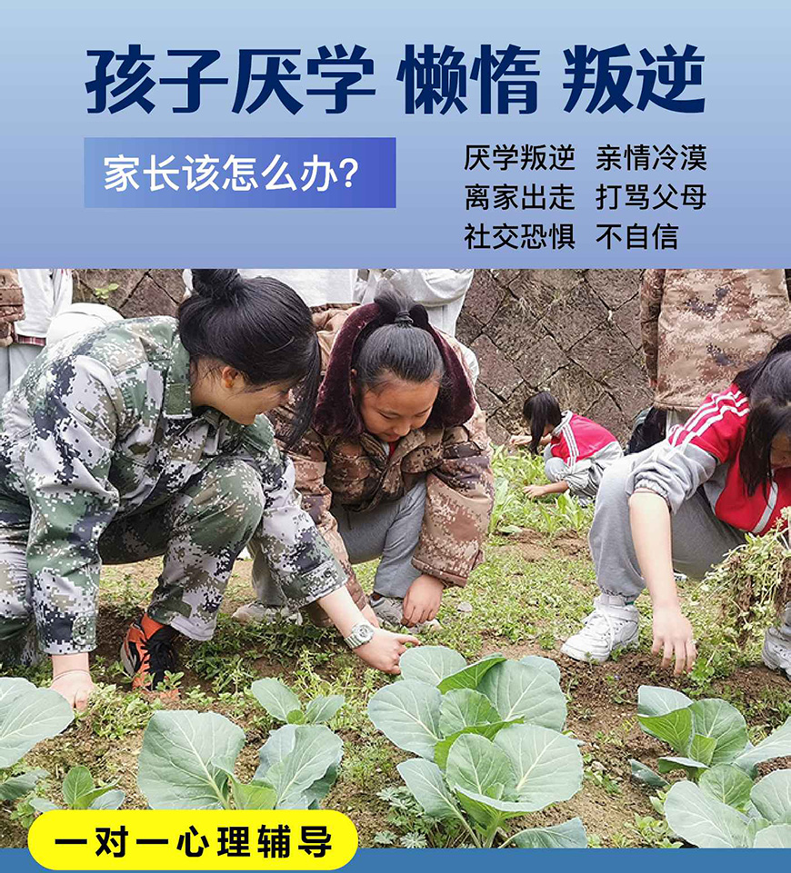 漳州市华安问题少年特训学校