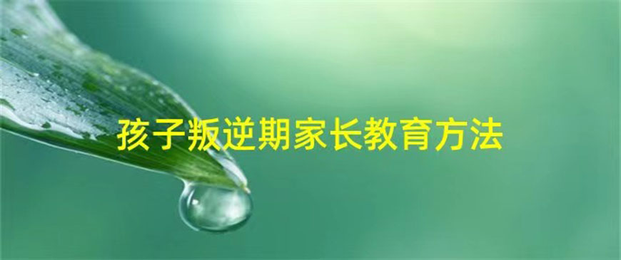 肇庆市封开叛逆戒网瘾学校