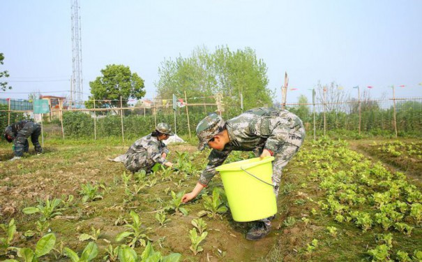 洛阳市老城问题孩子教育学校