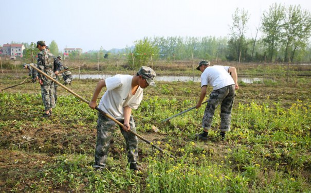 亳州市谯城区戒网学校