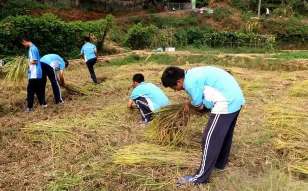 马鞍山市雨山区孩子戒网瘾管教学校