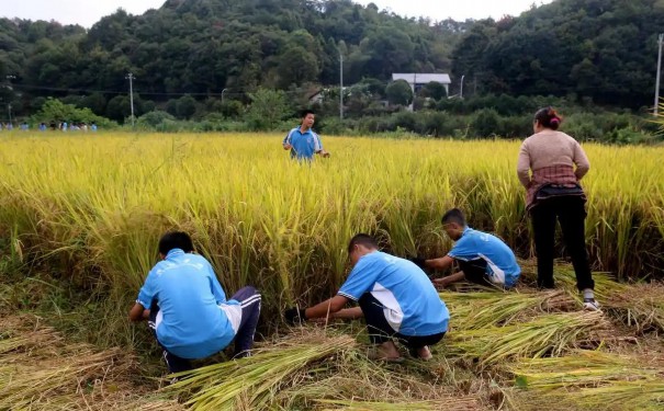 宣城市绩溪县早恋厌学孩子封闭式学校