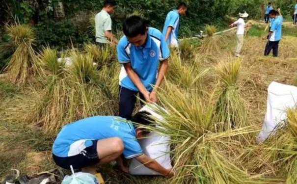 聊城市临清不良少年管教学校