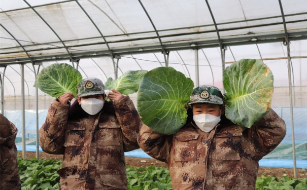 漯河市郾城初中全封闭式学校